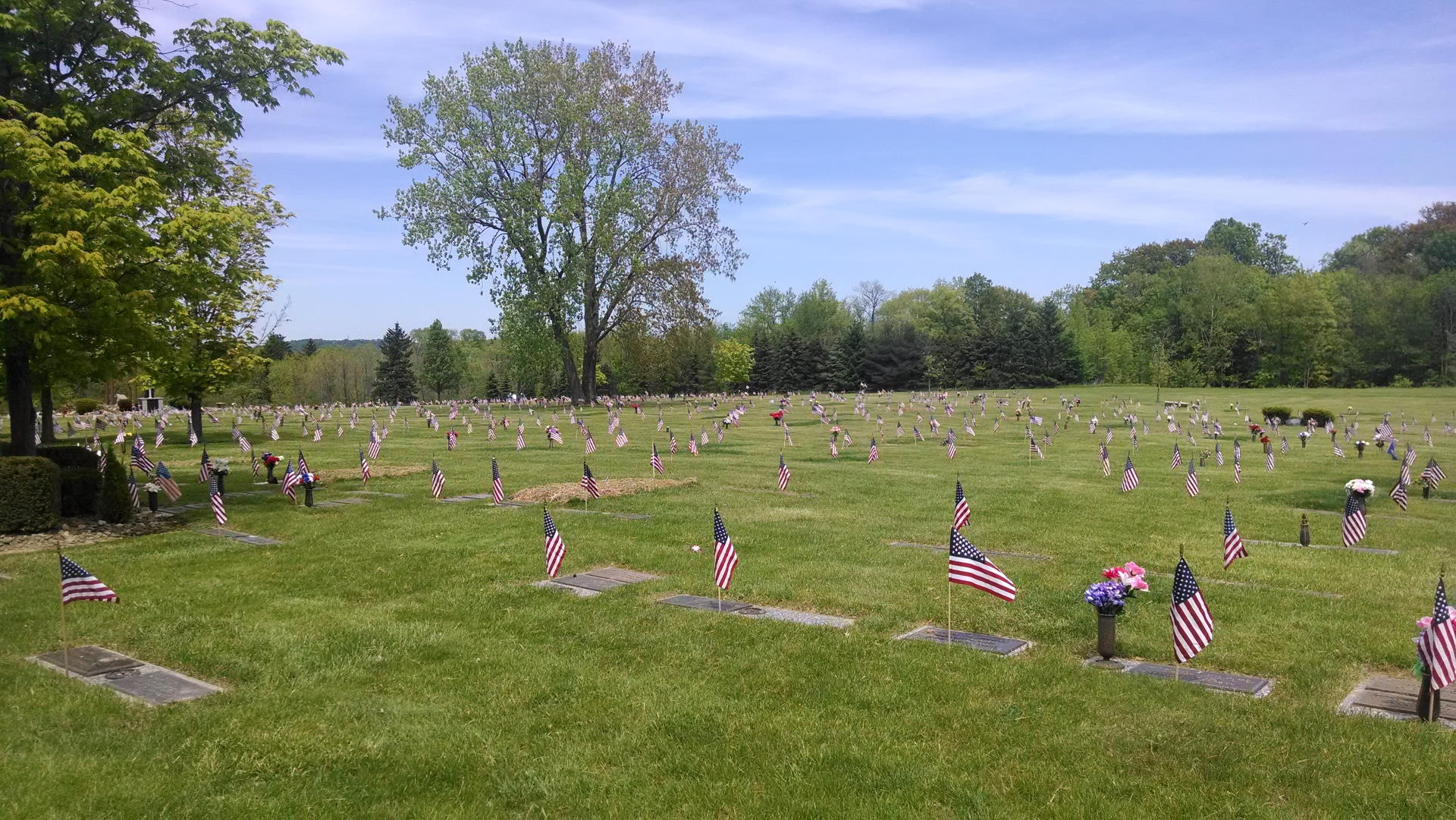 western-reserve-flags